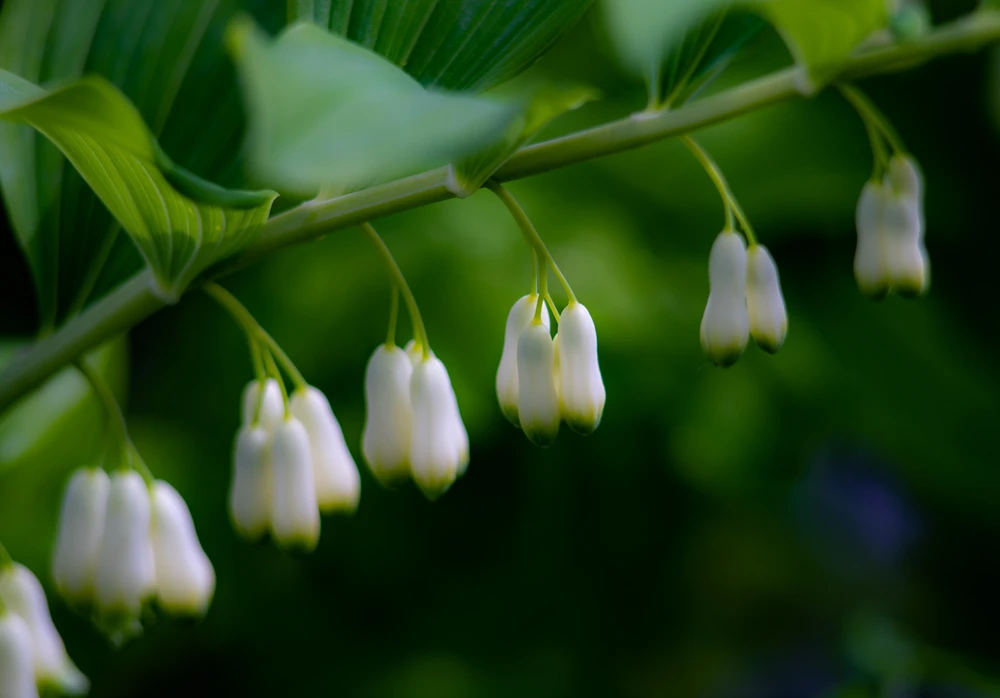 GIF uploaded by Dmitry