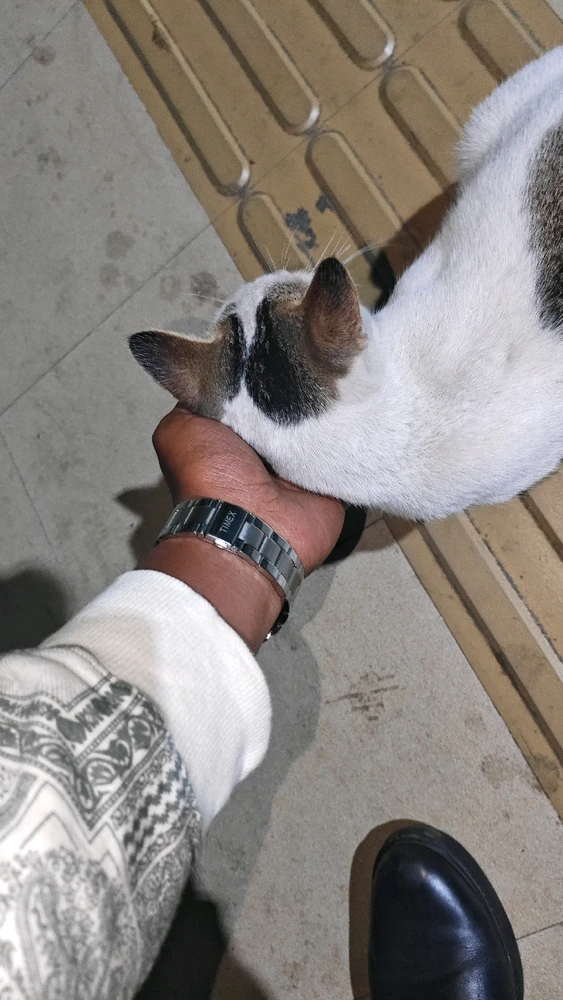 Gambar diunggah dening Arijit