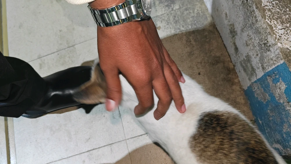 Gambar diunggah dening Arijit