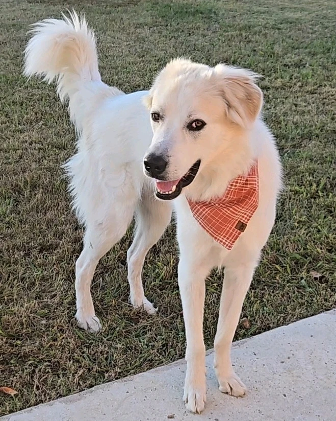 GIF uploaded by Andrew