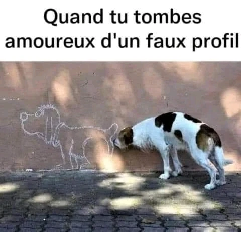 GIF ajouté par Jeremy