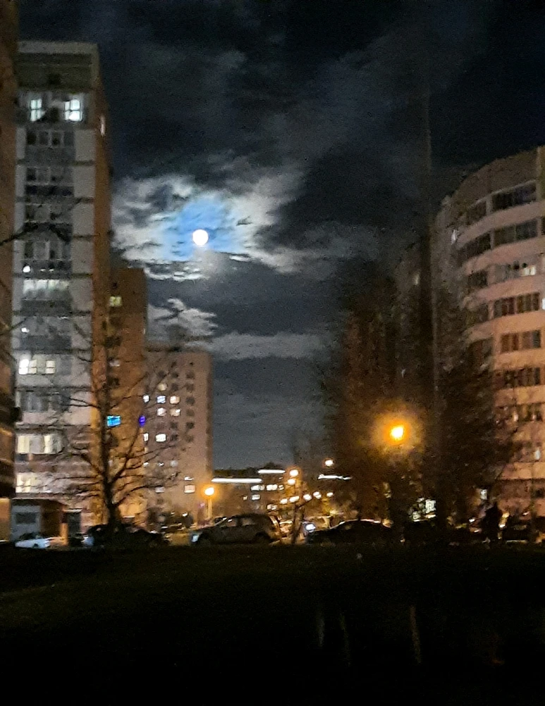 GIF загрузил Elena