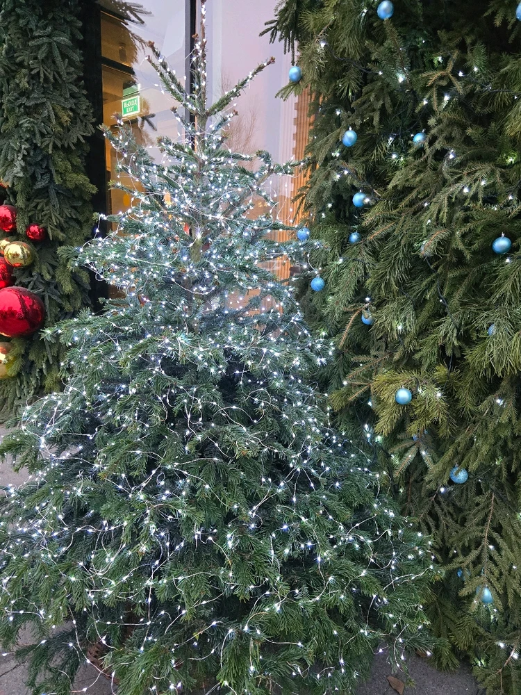 Фото загрузил Anna