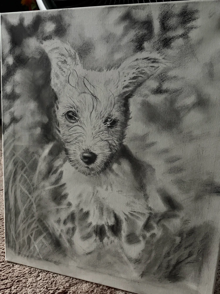 GIF uploaded by Mrttattoo