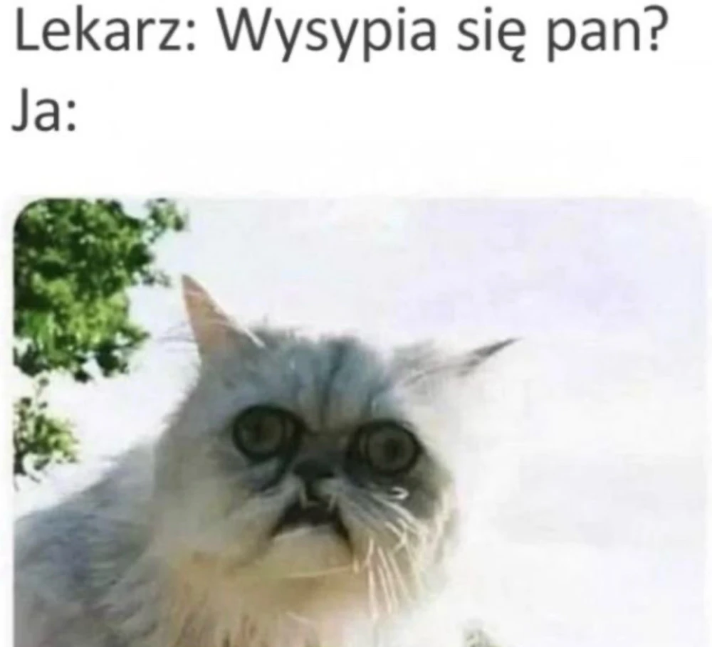 GIF dodany przez Maciek