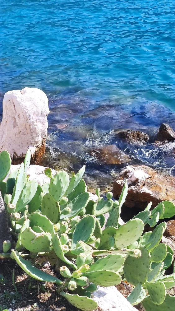 Image ajoutée par Ludovic