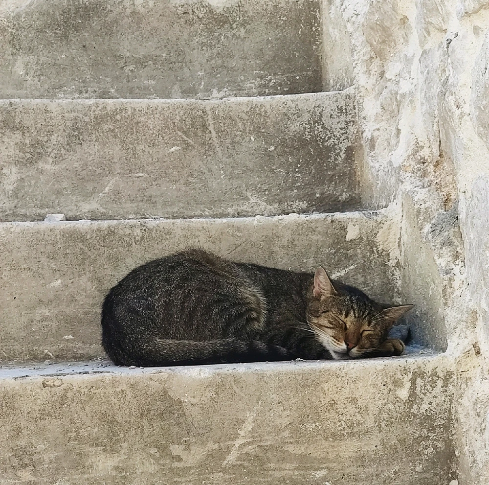 Image ajoutée par Ludovic