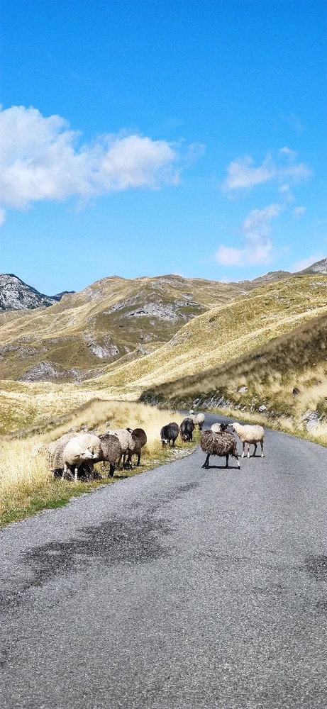 Image ajoutée par Ludovic