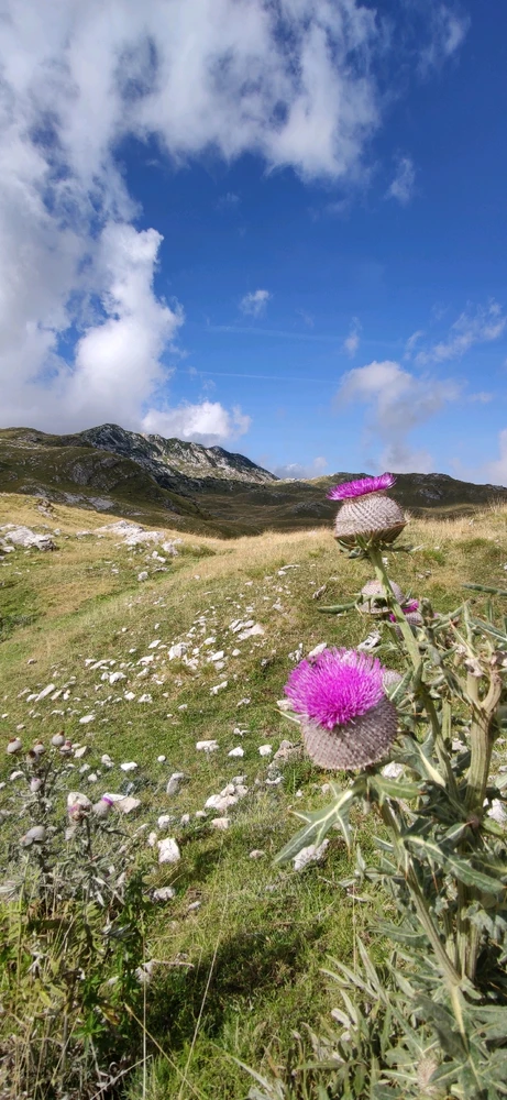 Image ajoutée par Ludovic