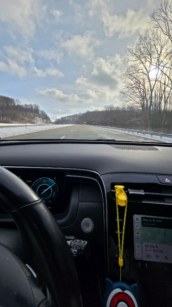 Image uploaded by Bruce