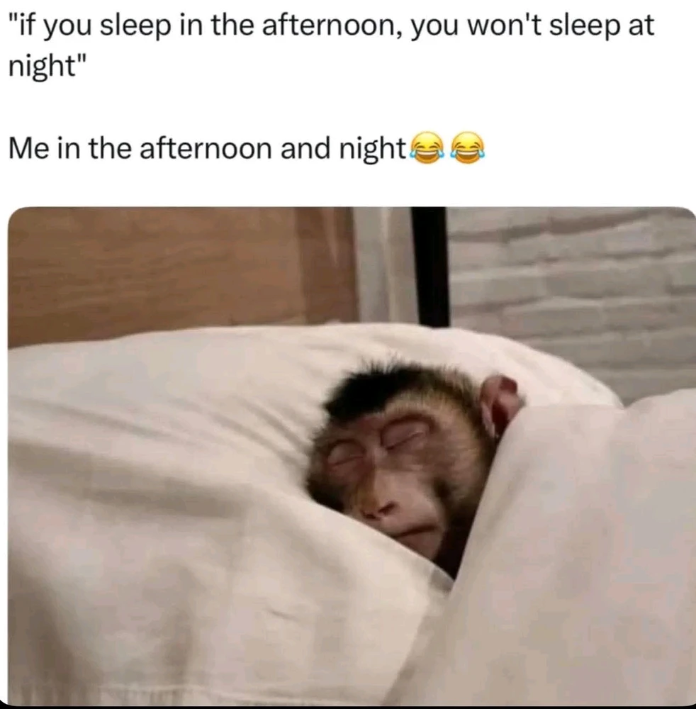 GIF uploaded by Chrif