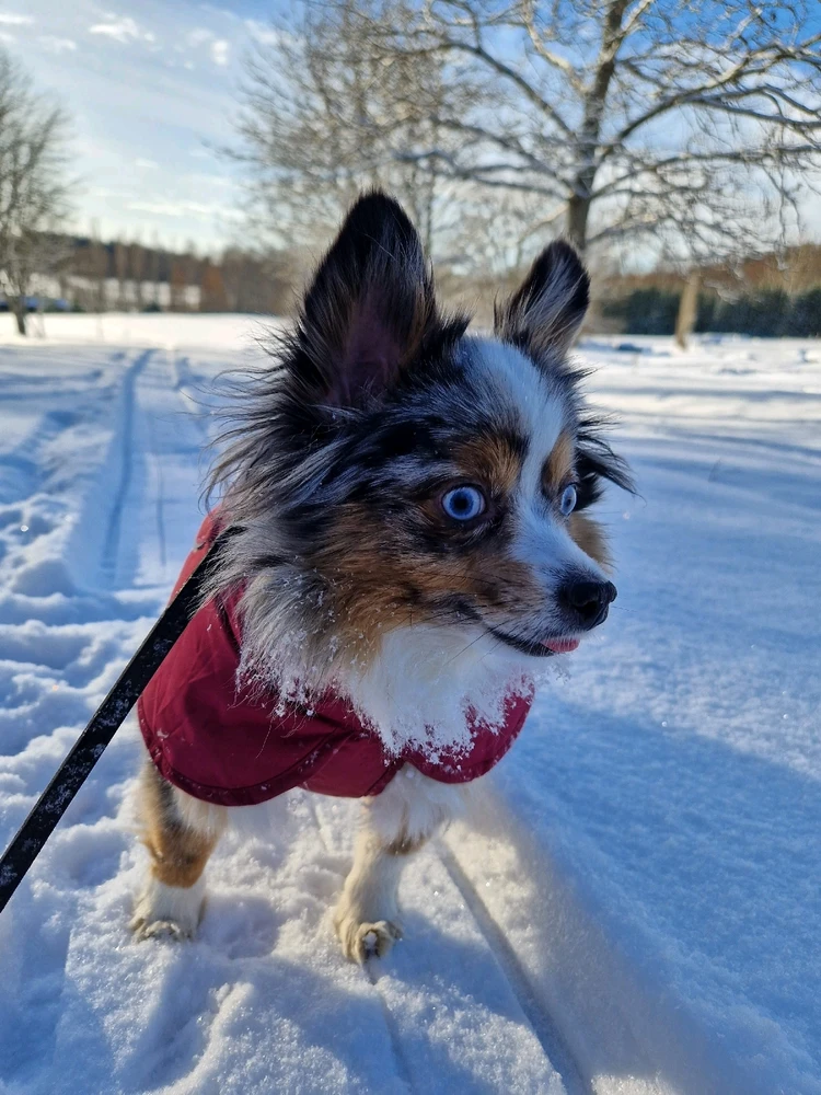 GIF uploaded by Aurora