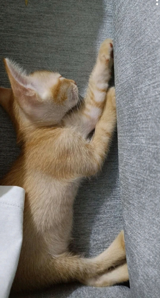 GIF diunggah dening Shailesh