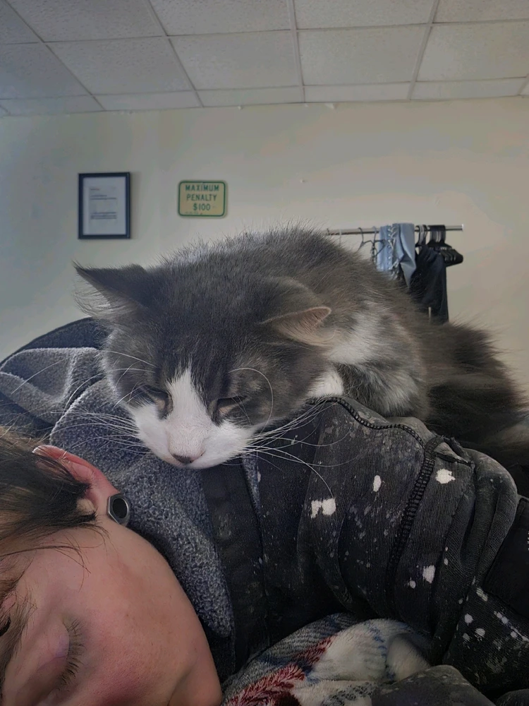 GIF diunggah dening Elliot Sevren