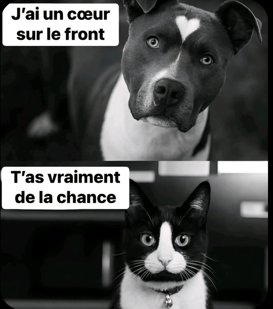 GIF ajouté par Edouard