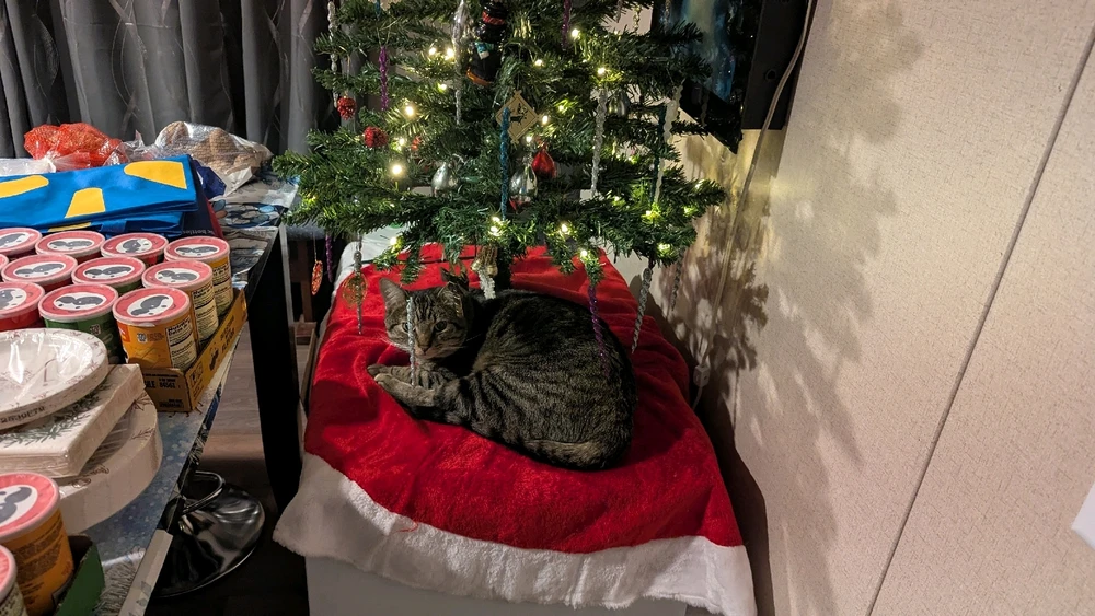 Gambar diunggah dening Moondoggy