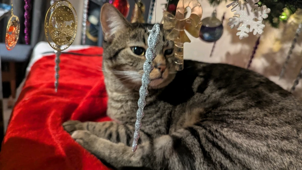 Gambar diunggah dening Moondoggy