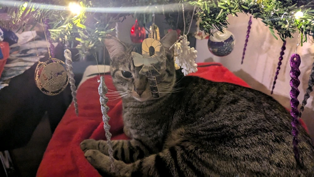 Gambar diunggah dening Moondoggy