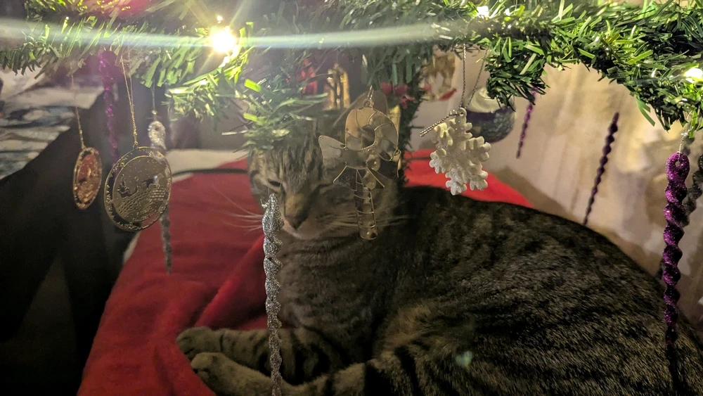 Gambar diunggah dening Moondoggy