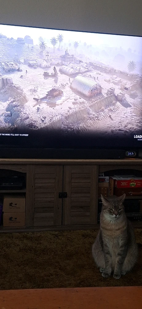 GIF diunggah dening Collin