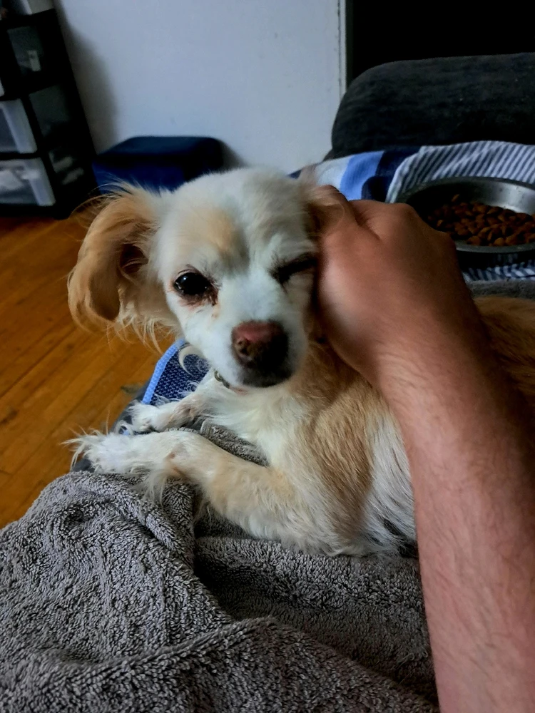 Image uploaded by Dustin