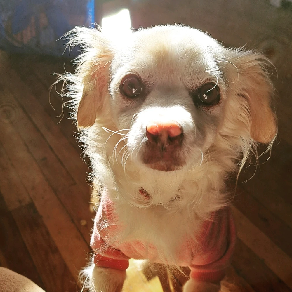 Image uploaded by Dustin