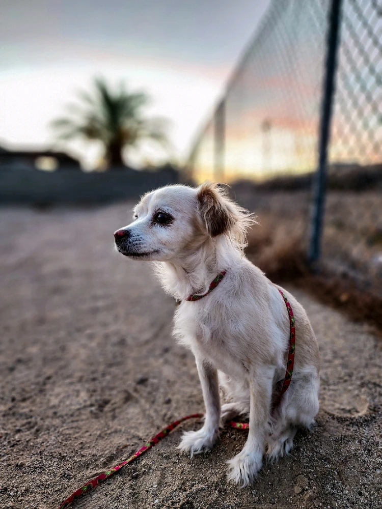 Image uploaded by Dustin