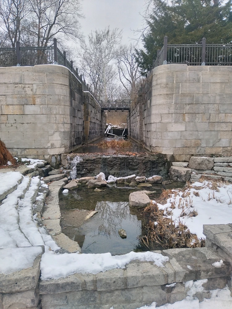 Image uploaded by Jen