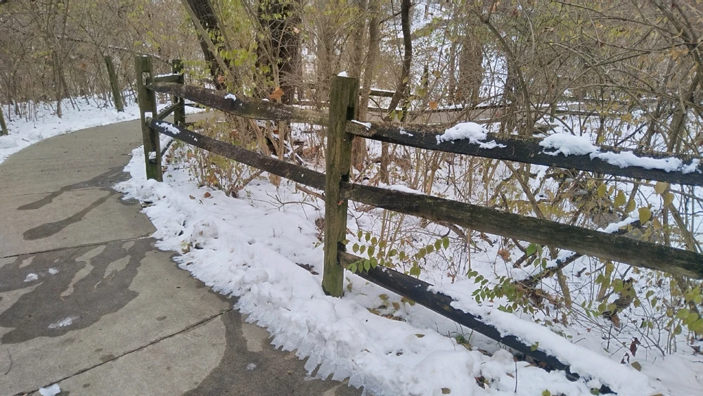 Image uploaded by Jen