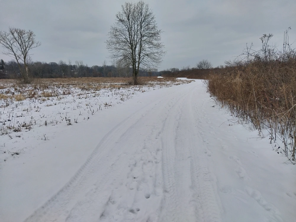 Image uploaded by Jen