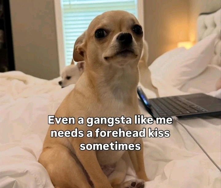 GIF uploaded by Luke