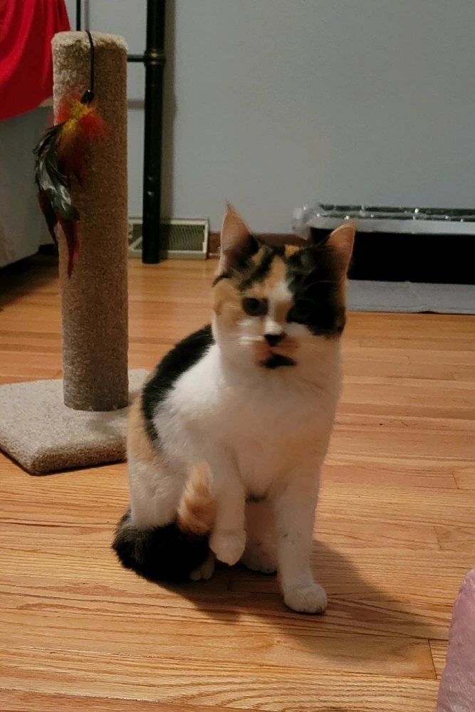 Image uploaded by Stazi