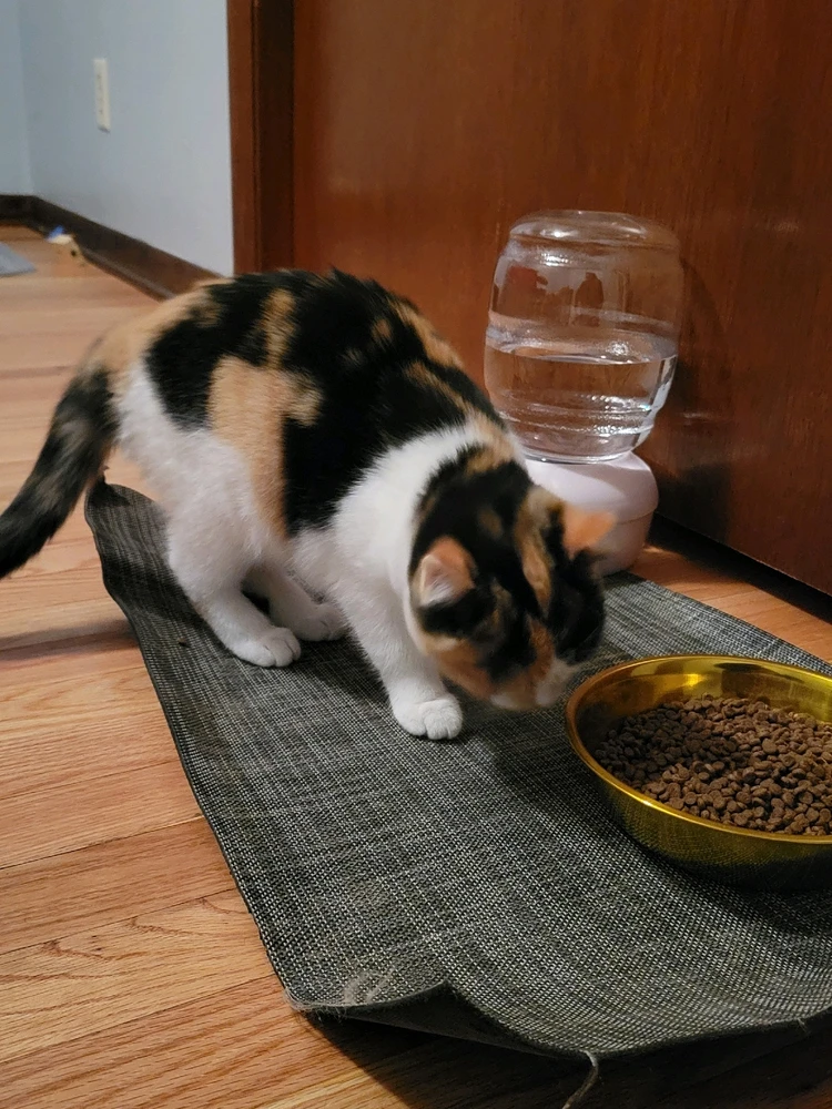 Image uploaded by Stazi