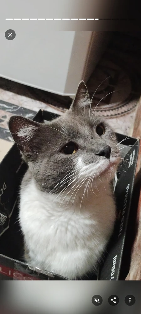 GIF diunggah dening Nicolas