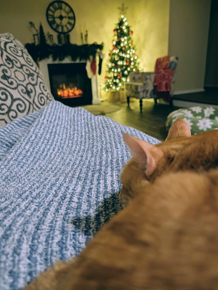 GIF diunggah dening Melissa