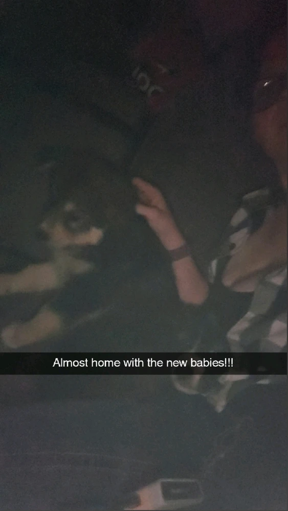 Bringing the boys home!!!