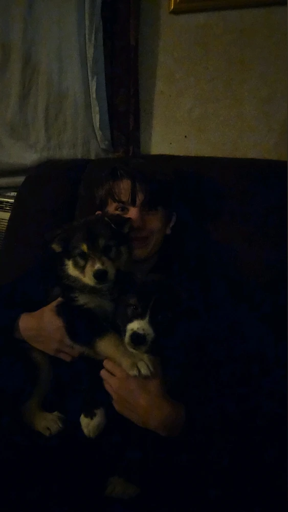 My son loving the new pups
