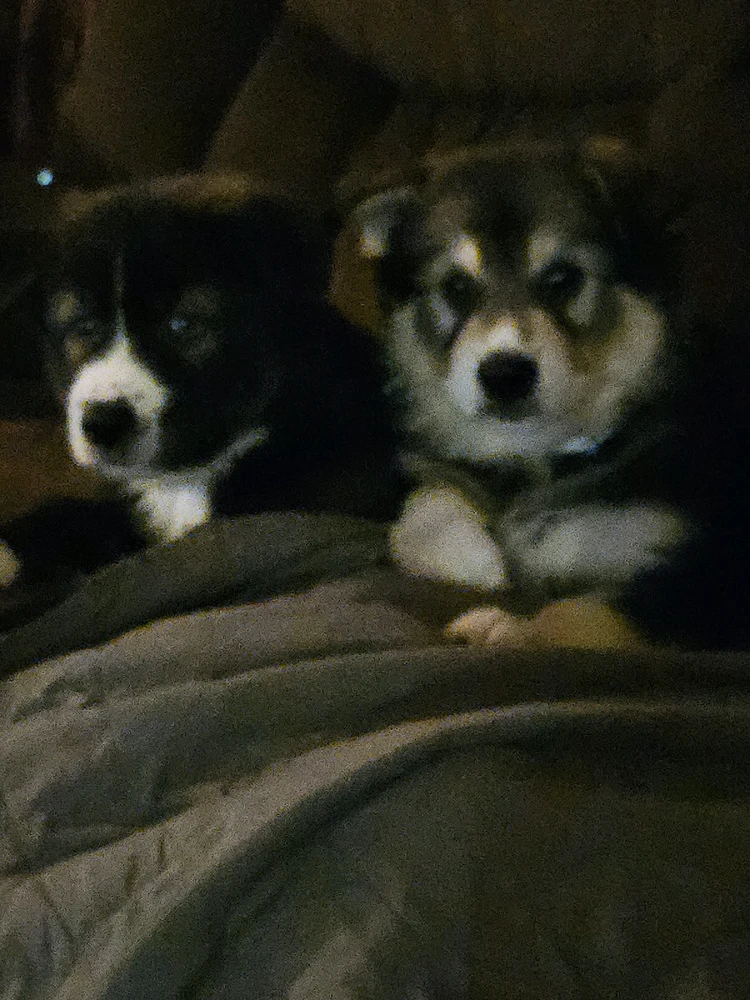First night home already getting cozy