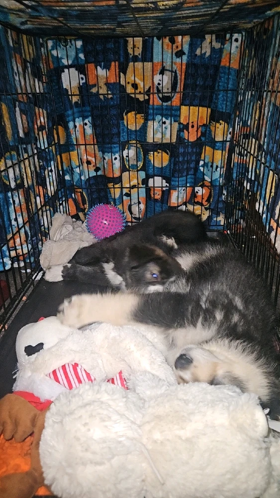 Nap time
