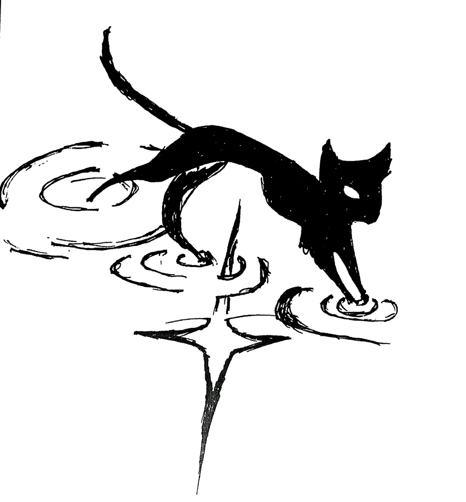 Image uploaded by Evy