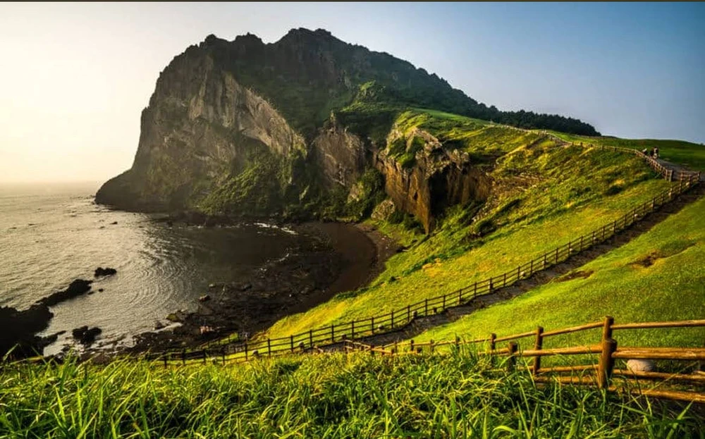 Image uploaded by Alfonzo