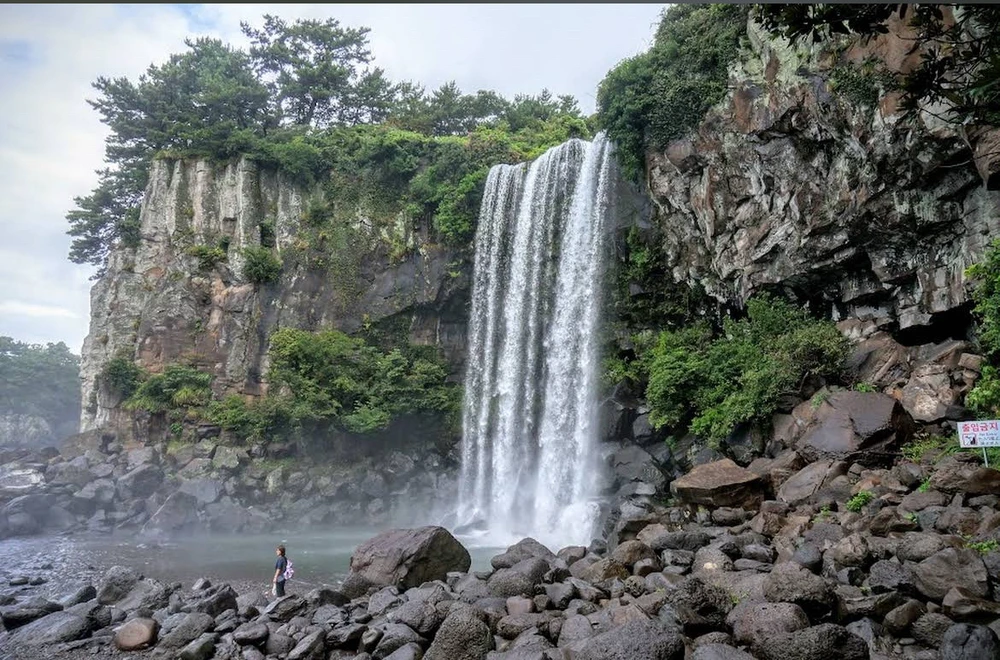 Image uploaded by Alfonzo