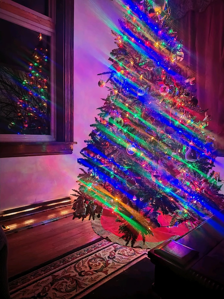 Image uploaded by Dandan; Not Not Dan.. The Real Dan. What is a Dan?