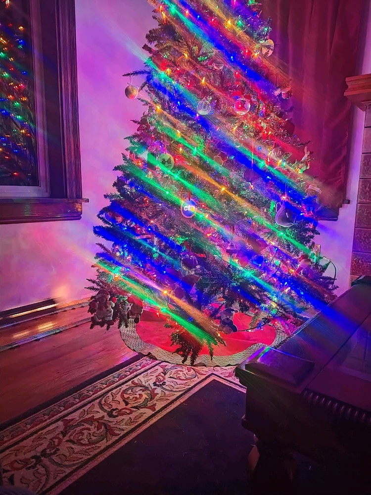 Image uploaded by Dandan; Not Not Dan.. The Real Dan. What is a Dan?