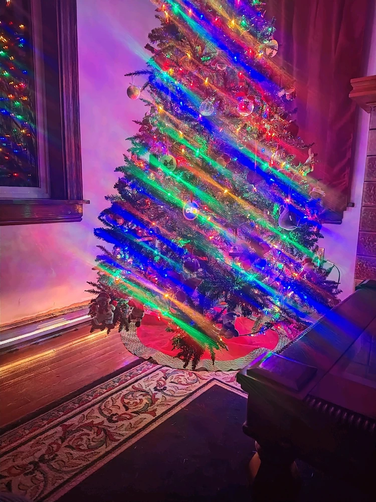 Image uploaded by Dandan; Not Not Dan.. The Real Dan. What is a Dan?