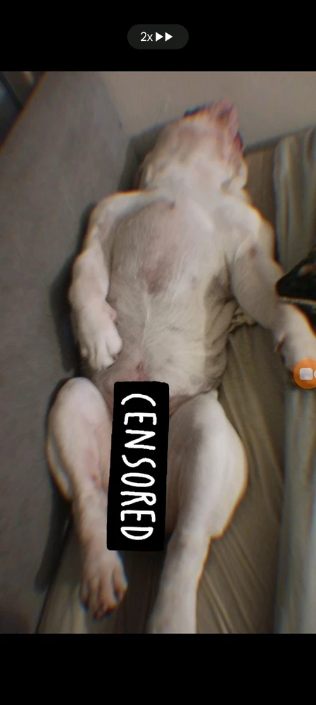 GIF uploaded by Victor