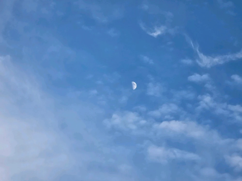 Image uploaded by Tylor