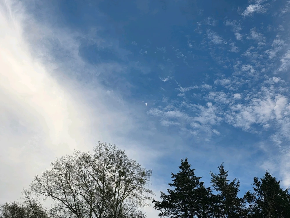 Image uploaded by Tylor