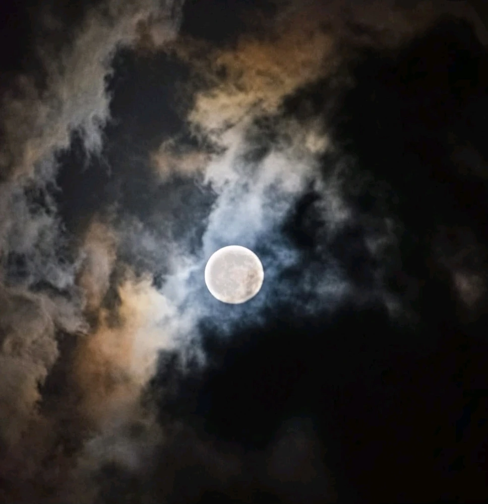 Image uploaded by 🔆🥨🔅Koffy🔅🌰🔆