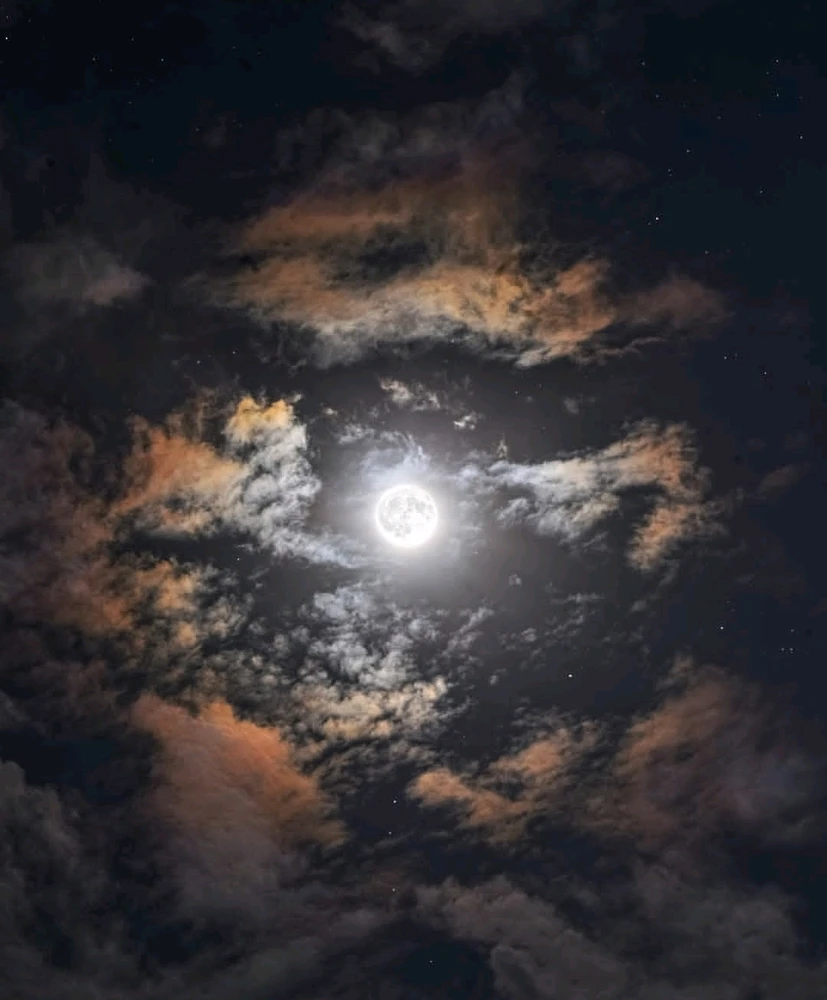 Image uploaded by 🔆🥨🔅Koffy🔅🌰🔆